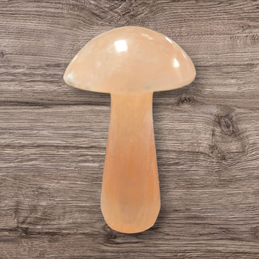 Peach Selenite Mushroom